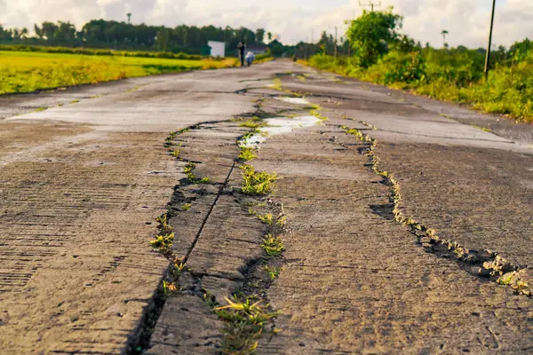 Kırsal bölgedeki çatlak yol yüzeyinin yakın görüntüsü