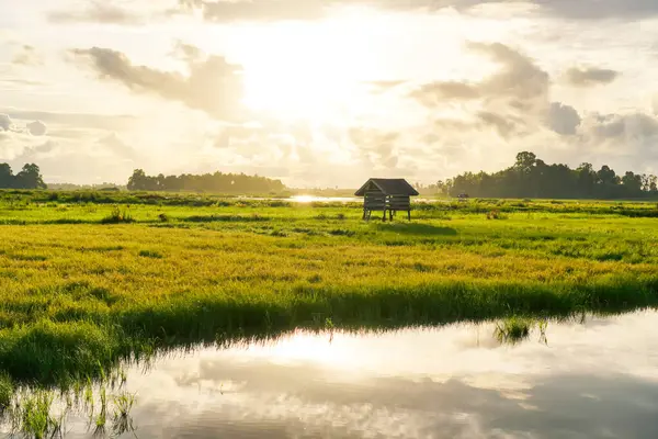 Küçük bir barınak ve su yansıması olan yemyeşil alanda altın saat gündoğumu
