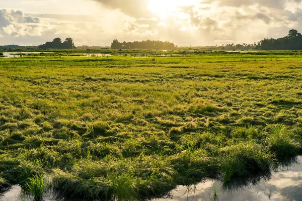 Günbatımında Su Yansıması ile Manzara Alanı