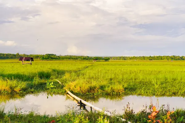 Tahta köprüsü ve kısmen bulutlu bir gökyüzünün altındaki su yansımaları ile sakin tarım alanı manzarası