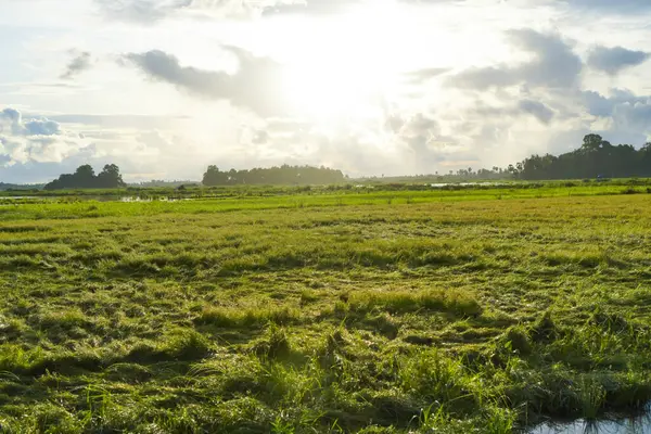 Geniş Yeşil Alan Bulutlu Gökyüzü ile Gündoğumunda