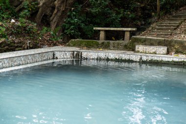 Berrak Yeşil Tropikal Ayarlarda Serene Mavi Havuz