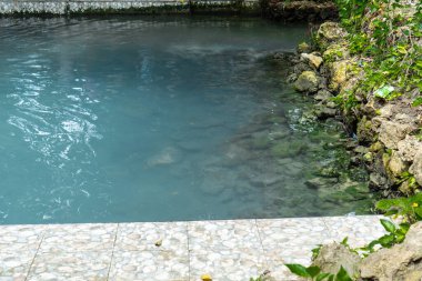 Turkuaz Su Havuzunu Kayalar ve Bitkilerle Temizle