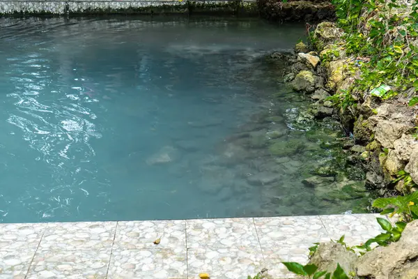 Turkuaz Su Havuzunu Kayalar ve Bitkilerle Temizle