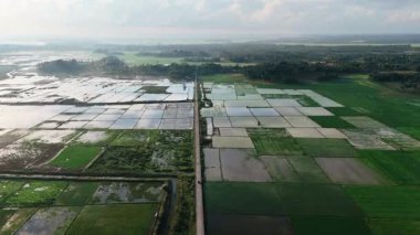 Yukarıdan Tarım Alanı Görünümü