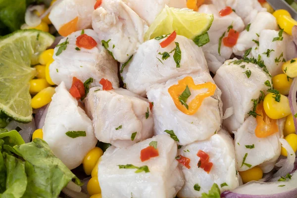 Close Van Ceviche Typische Zeevruchten Uit Peruaanse Keuken — Stockfoto