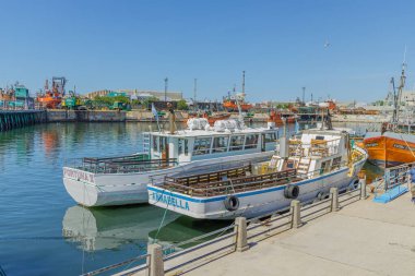 Mar del Plata, Arjantin - 15 Ocak 2024: Buenos Aires 'teki Mar del Plata limanındaki yolcu gemileri.
