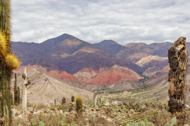 Panoramic view of the colorful hills in Tilcara in Jujuy, Argentina. clipart