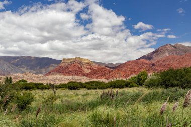 Landscape in Uquia, province of Jujuy, Argentina. clipart