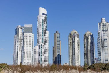 Buenos Aires 'teki Costanera Sur ekolojik rezervinden binalar görüldü.