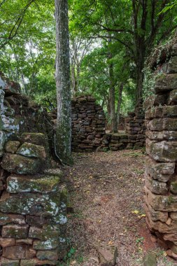 Misiones, Arjantin 'deki San Ignacio harabelerinde taş duvarlar..
