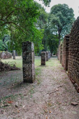 Misiones, Arjantin 'deki San Ignacio harabelerinde taş duvarlar..