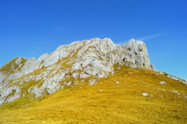Karadağ 'ın Durmitor Ulusal Parkı' ndaki Sedlena Greda dağının kuzey kesimi. Sert kayalık bir tepe ve parlak sarı çimlerle kaplı yumuşak bir yamaç - dağlık araziden renkli bir sonbahar manzarası