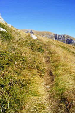Karadağ 'ın kuzeyindeki Durmitor Ulusal Parkı' nda yer alan Sedlena Greda Dağı boyunca yürüyüş. Çimenlerin ve alçak ardıç çalılarının arasında uzanan bir patika yukarı çıkıyor..