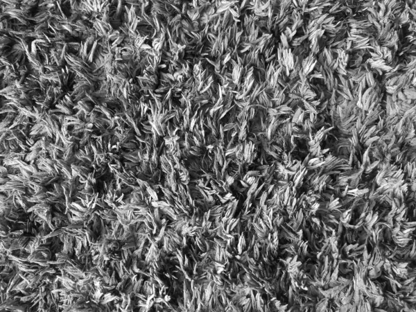 Black and white carpet fiber backdrop.