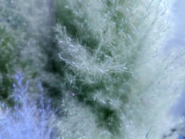 Close-up of artificial pastel flowers.