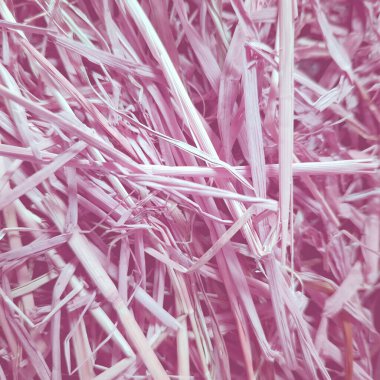 Pastel Straw Grup Arkaplanı. Bu, arkaplan, dekorasyon vesaire için çerçevedeki pipetlerin yaratıcı bir görüntüsüdür..