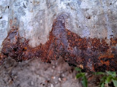 Çinko bir çarşafta paslanma..