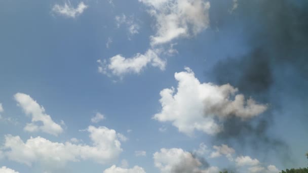 Svart Rök Och Sot Förorenar Atmosfären Den Blå Himlen Högkvalitativ — Stockvideo