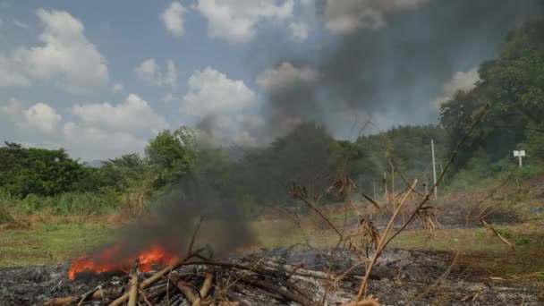 Уничтожение Джунглей Сельскохозяйственных Угодий Пожар Дым Лесу Загрязнение Атмосферы Глобальное — стоковое видео
