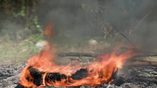 Уничтожение Джунглей Сельскохозяйственных Угодий Крупный План Колесо Горит Пожар Дым — стоковое видео