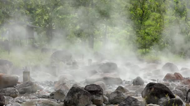 Паром Над Гарячою Водою Камінням Термальній Сірчаній Весні Національному Парку — стокове відео