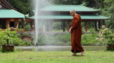Tayland orman manastırında keşiş yürüyüş meditasyonu. Yüksek kalite 4k görüntü