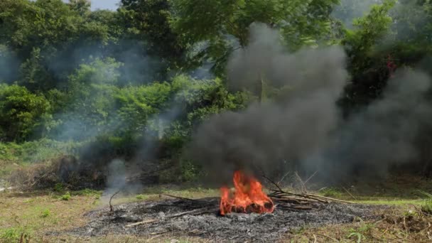 Vernietiging Van Oerwoud Voor Landbouwgrond Vuur Rook Het Bos Luchtvervuiling — Stockvideo