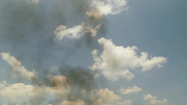 Zwarte Rook Roet Vervuilen Atmosfeer Blauwe Lucht Hoge Kwaliteit Beeldmateriaal — Stockvideo