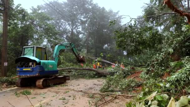 Thailand Chiangmai November 2022 Blockage Mountain Road Excavator Cleans Fallen — Stock video