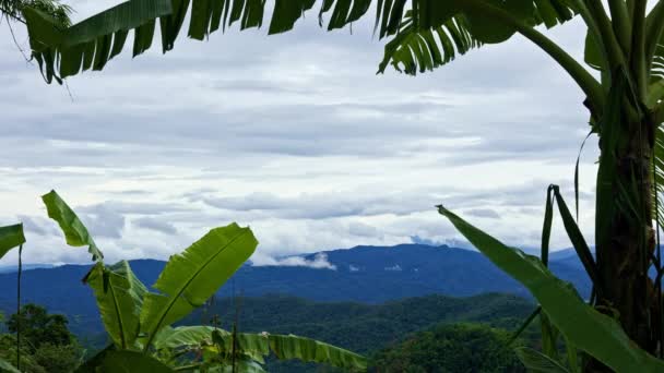 Time Lapse View Valley Mountains Background Banana Leaves Typical Asian — Vídeos de Stock