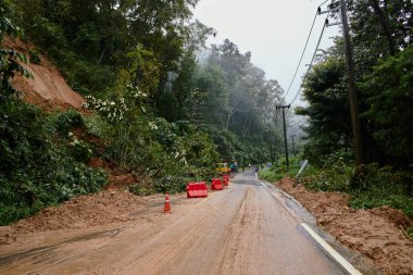 Traffic jam on a mountain road. Fallen tree tree blocking the road. Consequences of a hurricane and a skid. High quality photo