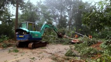 Thailand, Chiangmai, November 02 2022, a blockage on a mountain road. An excavator cleans up fallen trees after a hurricane. The rescue team is at work. High quality 4k footage