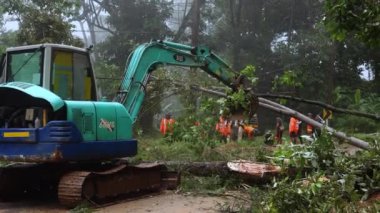 Thailand, Chiangmai, November 02 2022, a blockage on a mountain road. An excavator cleans up fallen trees after a hurricane. The rescue team is at work. High quality 4k footage
