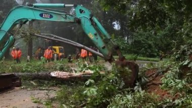 Thailand, Chiangmai, November 02 2022, a blockage on a mountain road. An excavator cleans up fallen trees after a hurricane. The rescue team is at work. High quality 4k footage