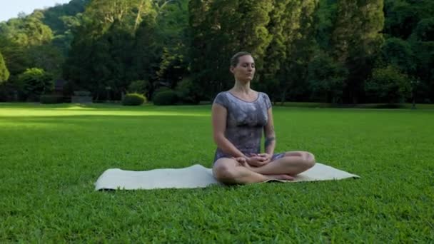 运动的年轻女子正在做瑜伽 早上在外面一个阳光灿烂的公园里练习冥想 镜头围绕着一个穿着运动服的漂亮女人 身上有老虎纹身 练习冥想 — 图库视频影像