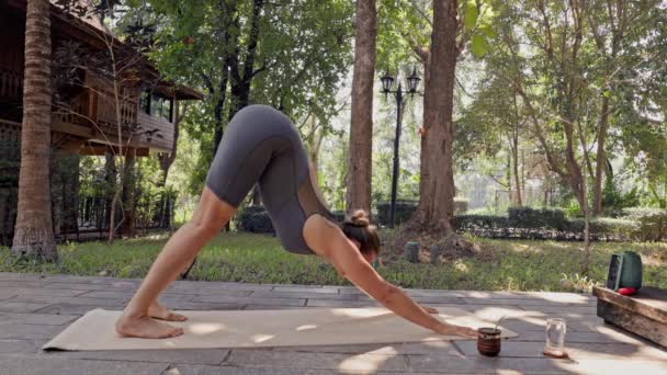 健康与健康的概念 身穿运动服的年轻女子在公园里练习瑜伽 高质量的4K镜头 — 图库视频影像