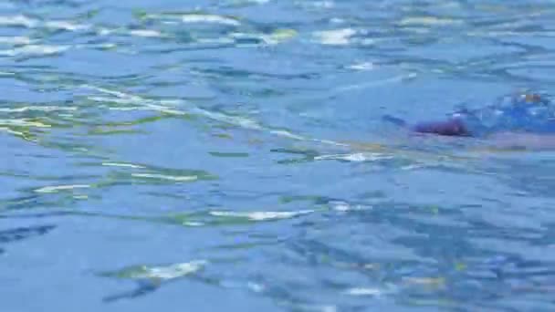 一个带着护目镜的职业女子游泳运动员的侧视图 一位女游泳者潜入了一潭水 慢动作 高质量的4K镜头 — 图库视频影像