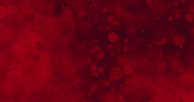 Dekorasyonuna biraz sevgi ekle. Kalplerin, bokeh 'in ve ışıltıların bu dekoratif Sevgililer Günü arka planıyla. Kusursuz döngü. Yüksek kalite 4k görüntü