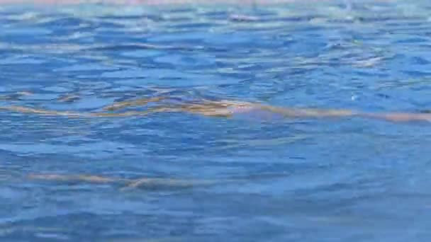 プールでゴーグル付きのプロの女性スイマーのサイドビュー 泳ぐ女性は水のプールに潜ります クローズアップ スローモーション 高品質の4K映像 — ストック動画