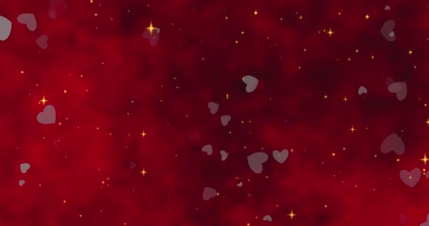 Güzel Sevgililer Günü Süs Şablonu Kusursuz Döngü Yüksek Kalite Görüntü — Stok video