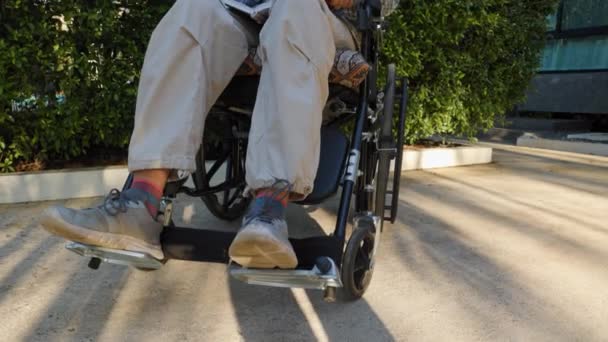 障害のある大人の女性は車椅子に座り パークパスのアクセシビリティを楽しんでいて 本を一人で読んでいる 高品質の4K映像 — ストック動画