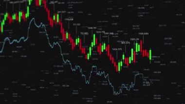 Finansal Piyasa Eğilimleri: Zaman Boyunca Grafiksel Veri Temsilleri ile Hisse Fiyatları Hareketlerinin Analizi Etkili Bir şekilde Gösterilmesi.