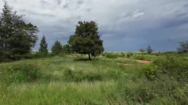 Rahatlatıcı bir 4K motosiklet yolculuğu Tayland yağmur mevsiminde verimli tropikal yeşillikleri ve yan açılı yolcu POV 'undan uzak bir denizi yakalıyor. Seyahat vlog 'ları ve doğa odaklı içerik için mükemmel.