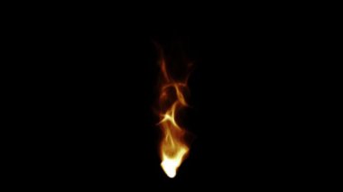 Burning realistic fire on a black background abstract animation. 