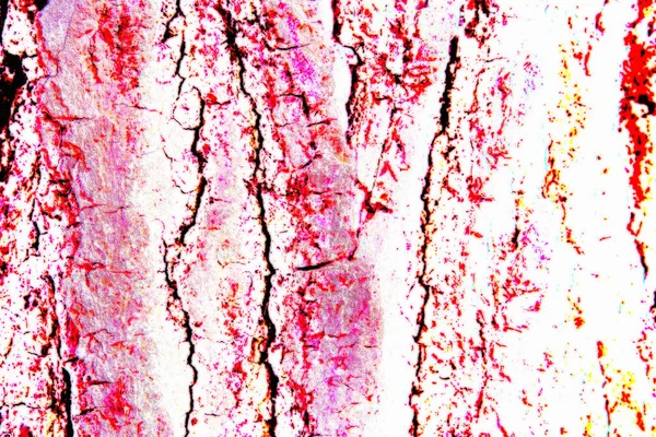 Red Creative Abstract Background Wallpaper Texture Closeup Modern Art Zdjęcia Stockowe bez tantiem