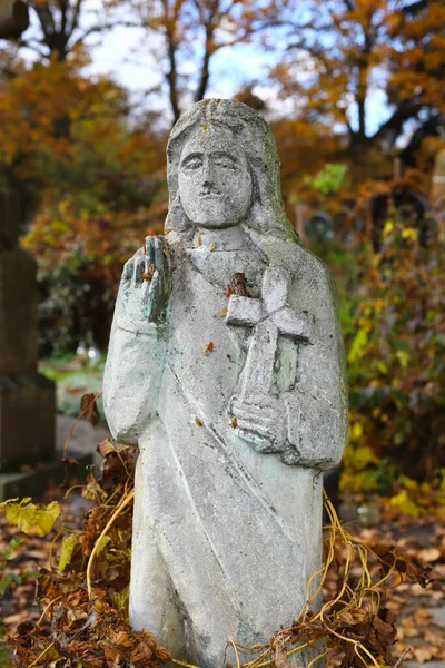 Regione Ternopil Ucraina Ottobre 2022 Vecchio Cimitero Vecchie Figure Trascurate — Foto Stock