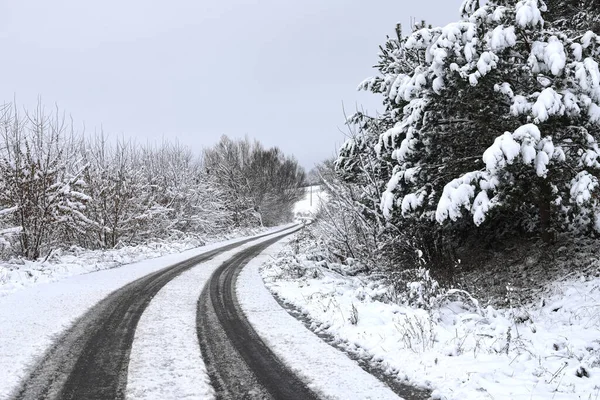 Scenic View Empty Cleared Road Snowy Landscape Snowfall Winter Season — Stock Photo, Image