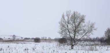  Kışın kar mevsiminde, karlı manzarayla kaplı, boş bir yol manzarası. Kaygan kış yolundan sağa dön. Kasvetli bir kış günü. Ukrayna.