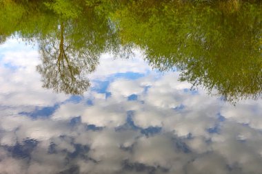 Durgun bulutların ve ağaçların yansıması, durgun su. Ukrayna 'nın batısında, güneşli bir yaz gününde sakin ve sakin bir nehrin manzarası.